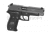 WE P226 W/O Rail
