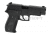 AW Custom Swiss Arms P226R Full Metal GBB Black 