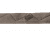Clawgear Raider 2PT Sling RAL7013