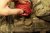 Spiritus Flag Bungee - Multicam