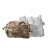 Spiritus CCS Pouch - Ranger Green