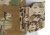 Templars Gear CPC ROC Heavy Gen 4.1 Multicam M