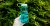 Nalgene Bottle 0,5 l WM Aubergine Sustain