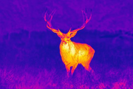 GPO SPECTRA TI35 THERMAL
