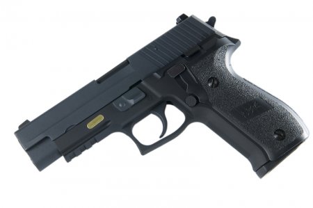 WE F226 Rail