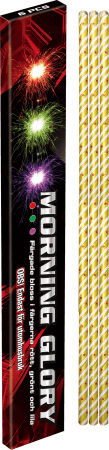 Morning Glory 6-pack