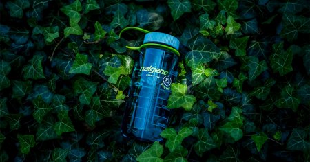 Nalgene Bottle 0,5 l WM Aubergine Sustain